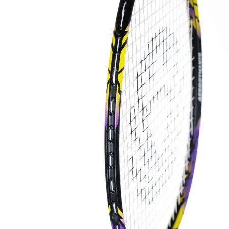 Ракетка бадм. TORRES Carbon PRO6, BD20521,для продв., стерж/обод из карбона,со струнами, фиол за 4&nbsp;477.80 ₽ купить в Сочи