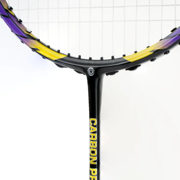 Ракетка бадм. TORRES Carbon PRO6, BD20521,для продв., стерж/обод из карбона,со струнами, фиол за 4&nbsp;477.80 ₽ в Сочи